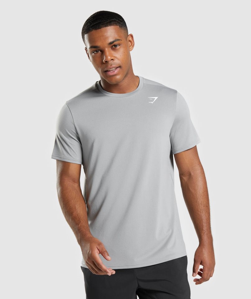 Men\'s Gymshark Arrival Regular Fit T-Shirts Light Grey | NZ 3JAHIP